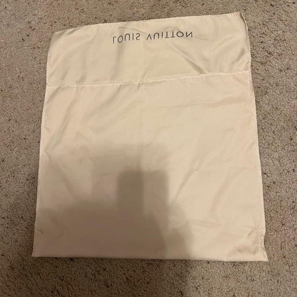 Extra large LOUIS VUITTON dustbag - Picture 3 of 4